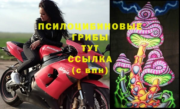 СК Балахна