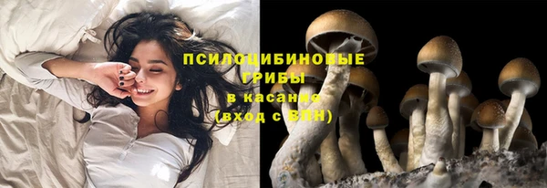 PSILOCYBIN Баксан