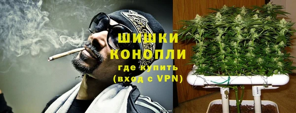 PSILOCYBIN Баксан