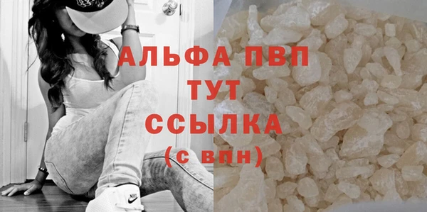 PSILOCYBIN Баксан