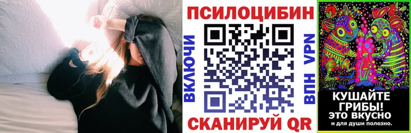 KRAKEN ТОР  Семилуки  Псилоцибиновые грибы мицелий 